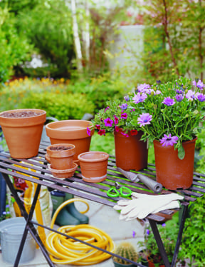 gardening season